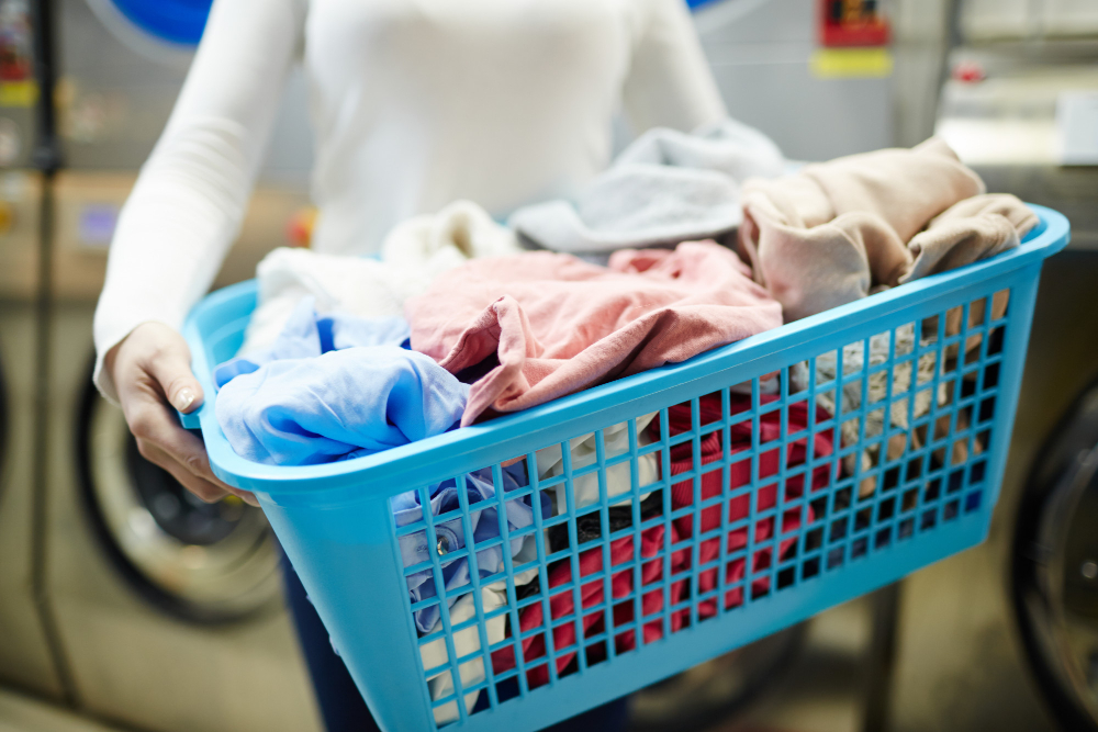 laundry pickup and delivery service